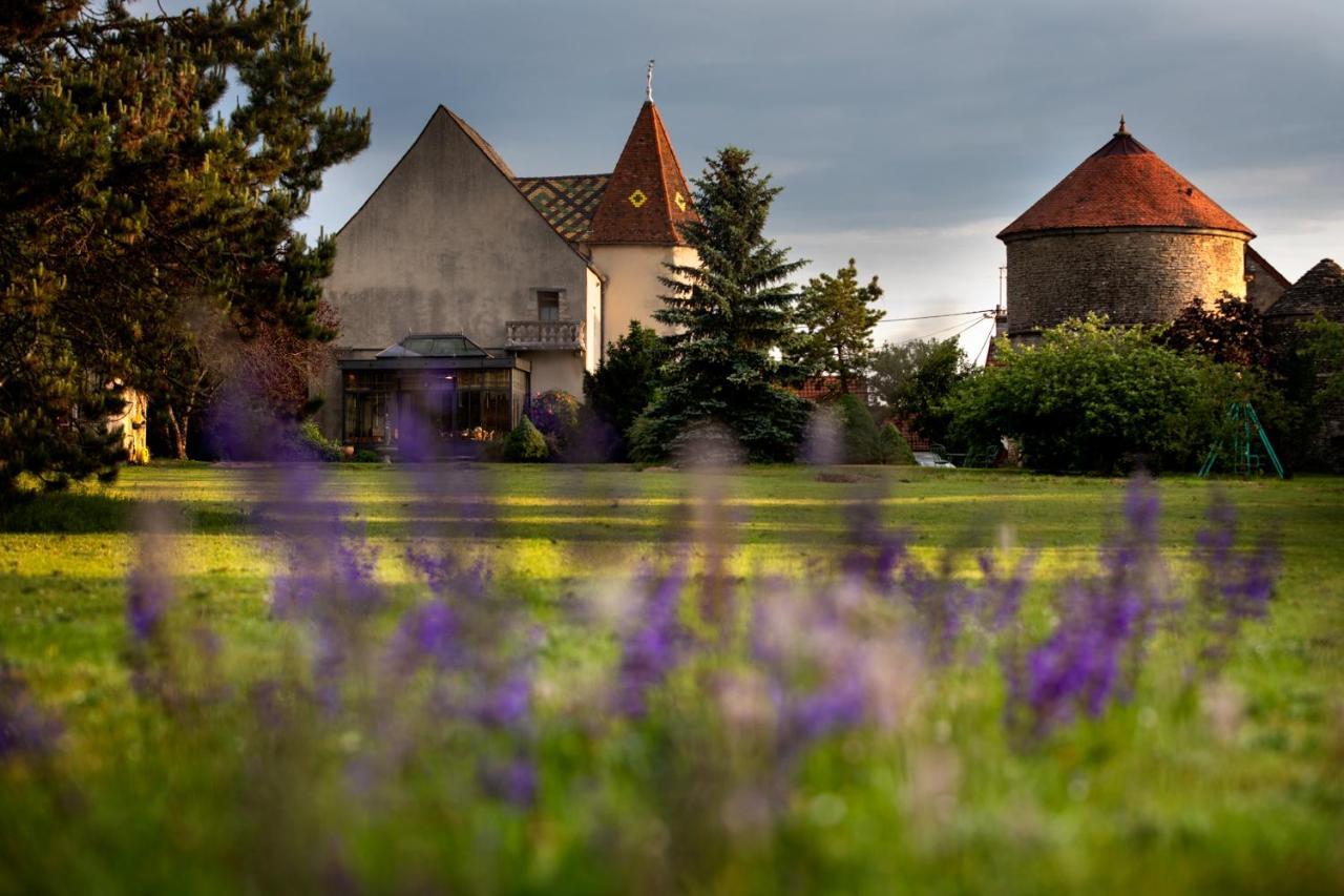 L'Hote Antique - Maison D'Hote- 4 Suites Avec Cuisine Pichanges 外观 照片